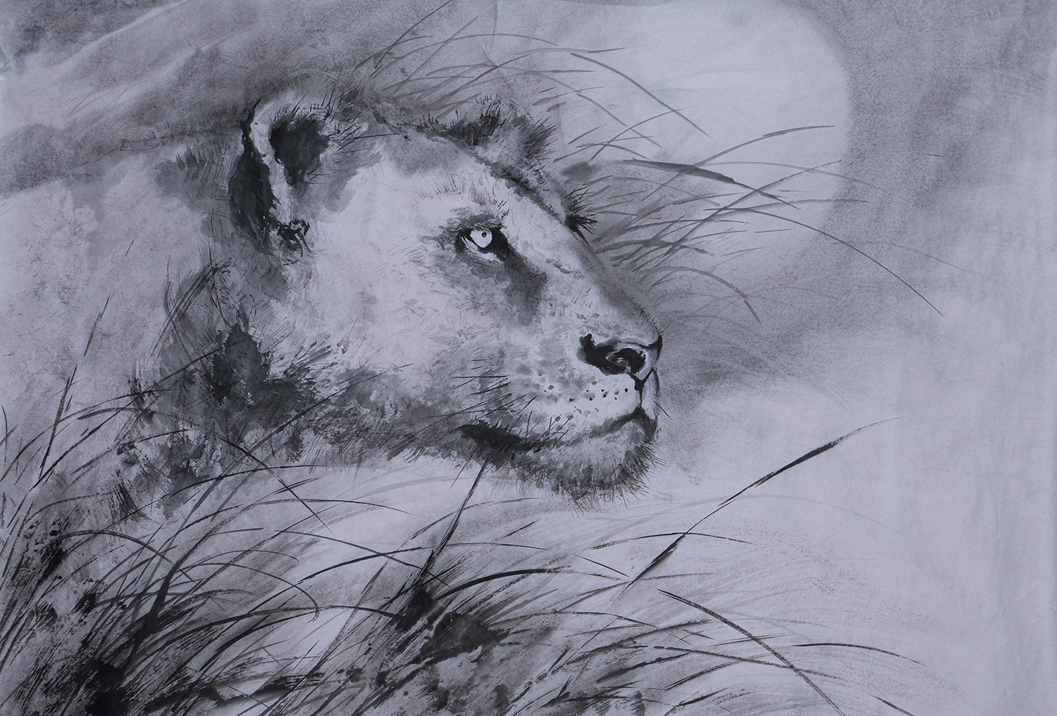 雌 獅 子 月 夜 図